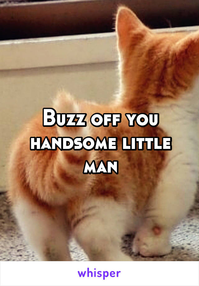 Buzz off you handsome little man
