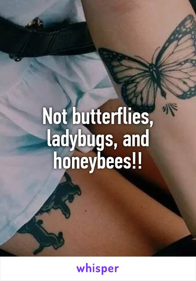 Not butterflies, ladybugs, and honeybees!!