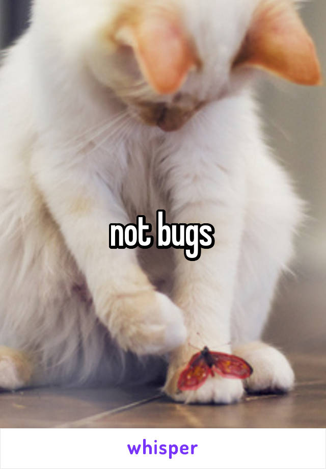 not bugs 