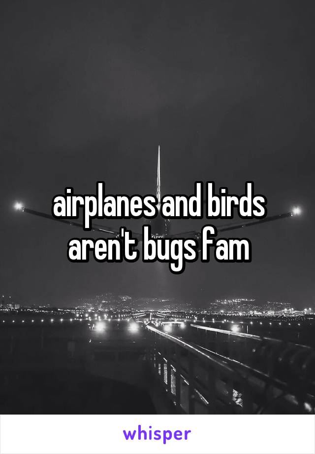 airplanes and birds aren't bugs fam