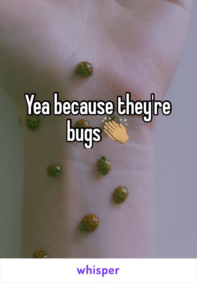 Yea because they're bugs👏🏽