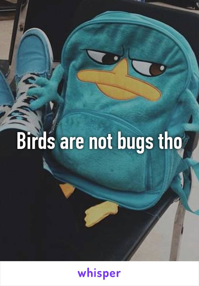 Birds are not bugs tho