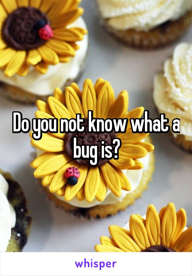 Do you not know what a bug is?