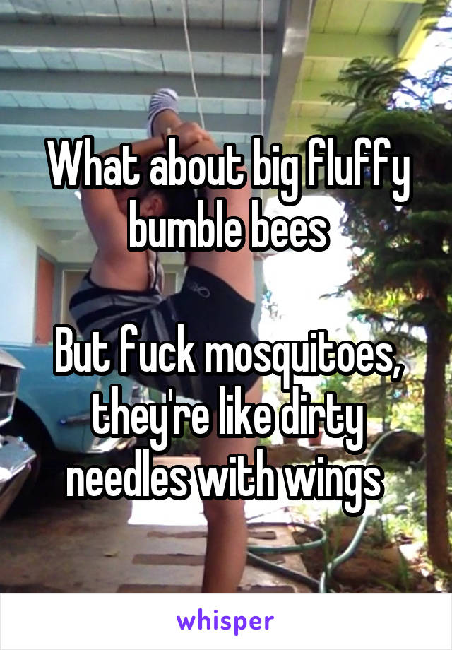 What about big fluffy bumble bees

But fuck mosquitoes, they're like dirty needles with wings 