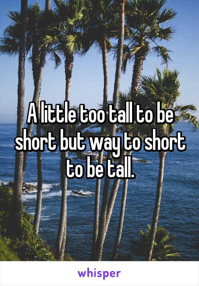 A little too tall to be short but way to short to be tall.