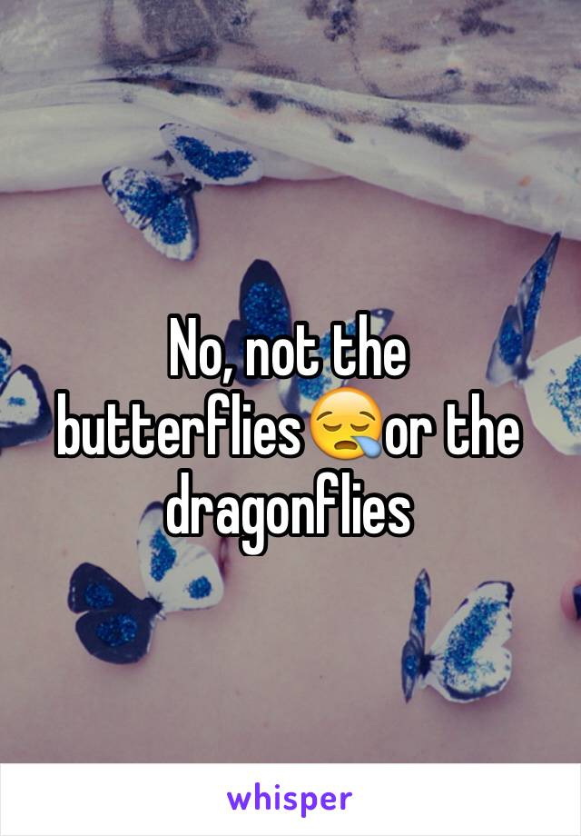 No, not the butterflies😪or the dragonflies 