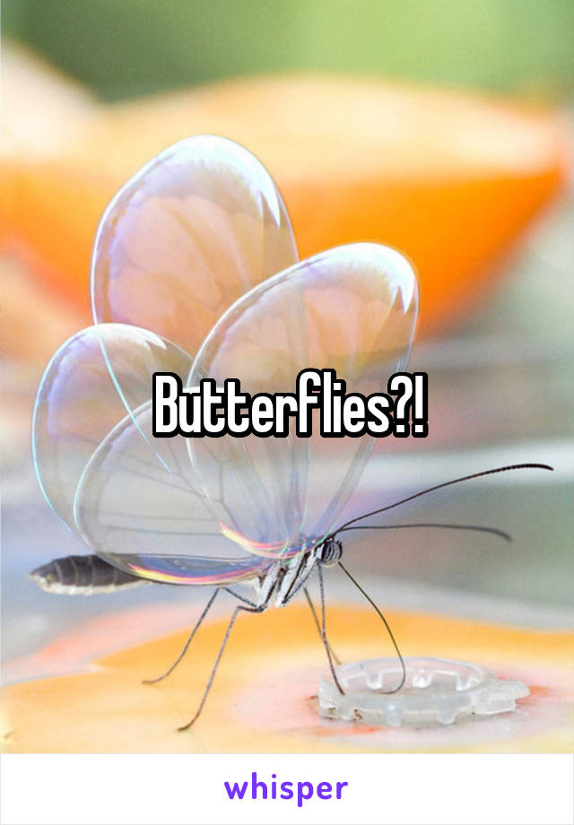 Butterflies?!