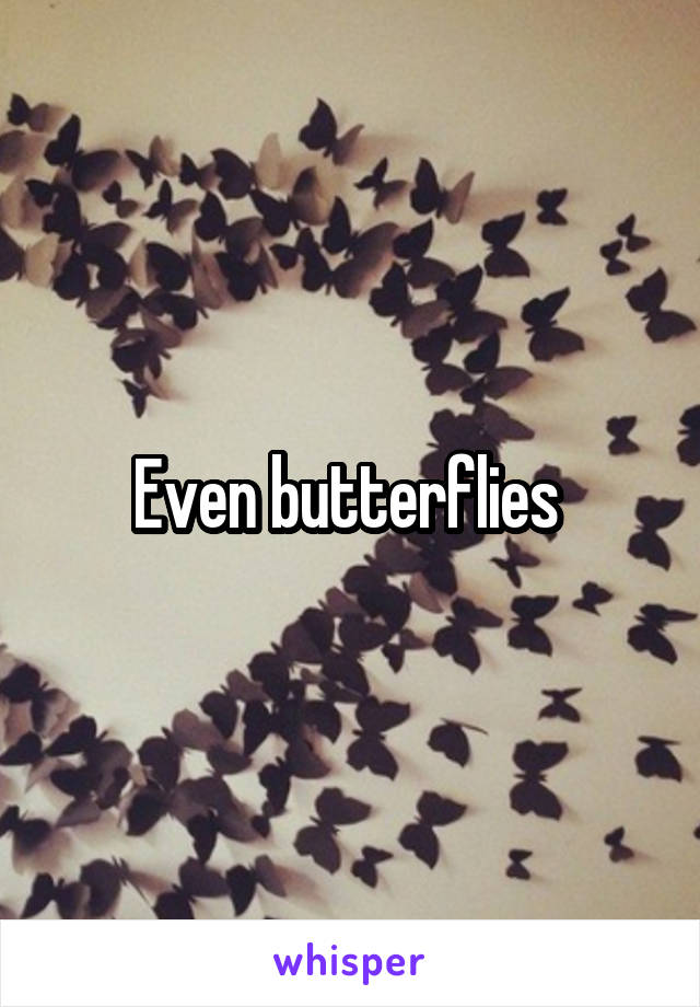 Even butterflies 