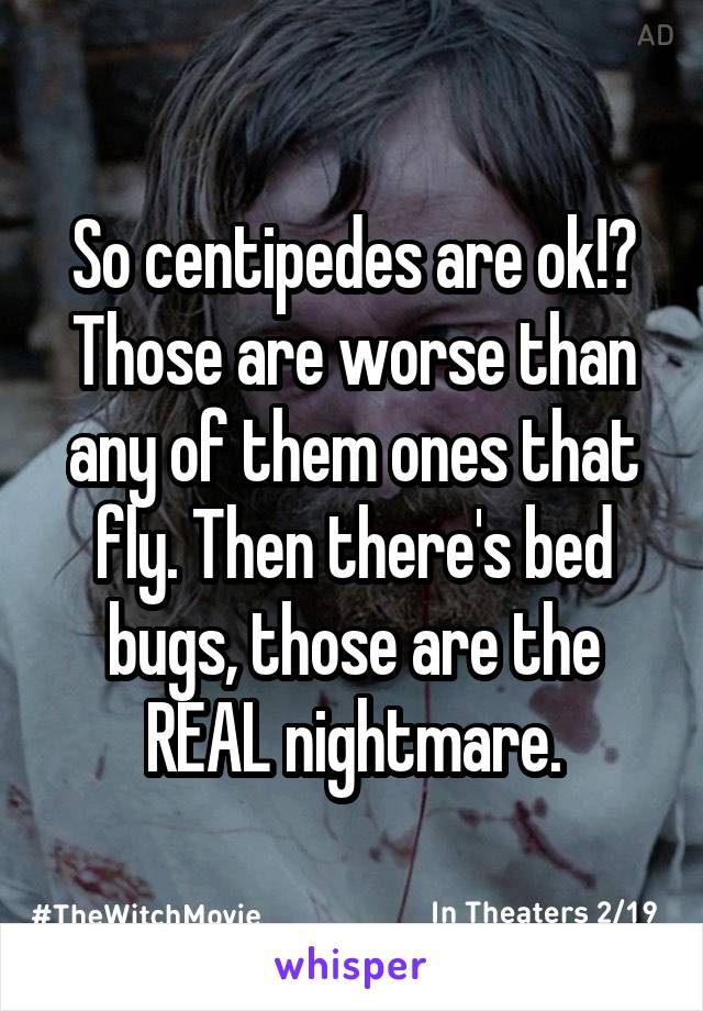 So centipedes are ok!? Those are worse than any of them ones that fly. Then there's bed bugs, those are the REAL nightmare.