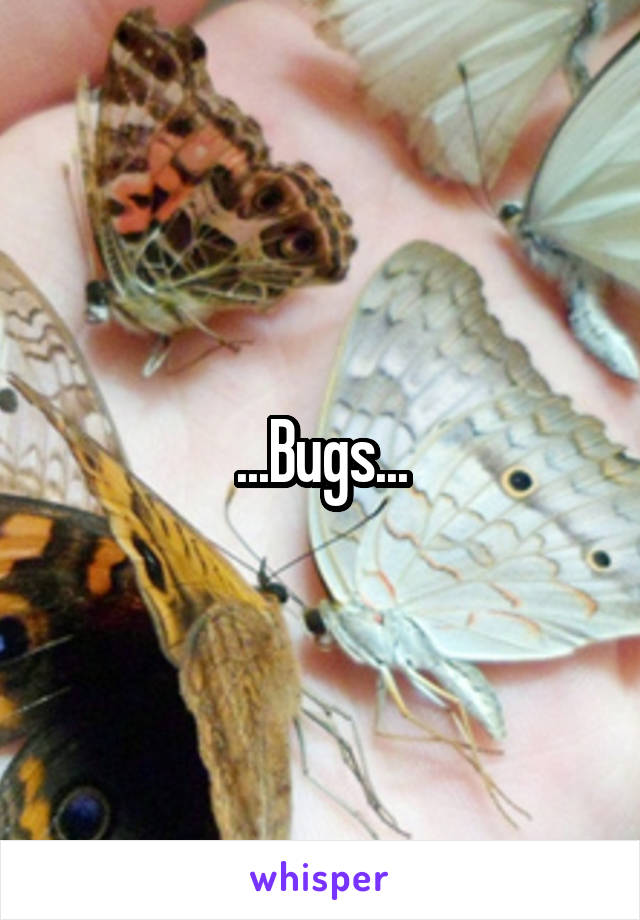 ...Bugs...