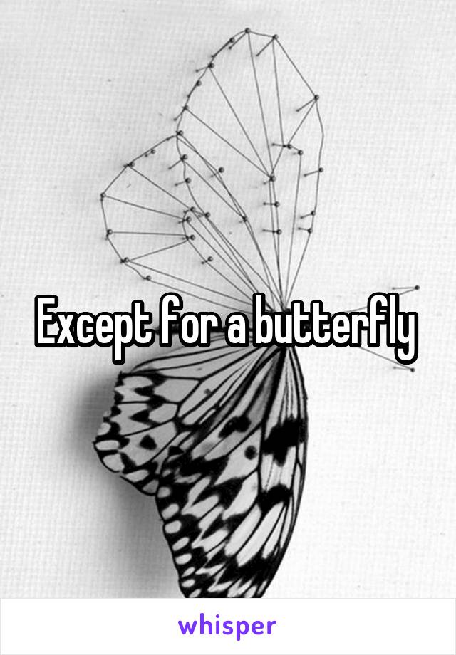 Except for a butterfly 