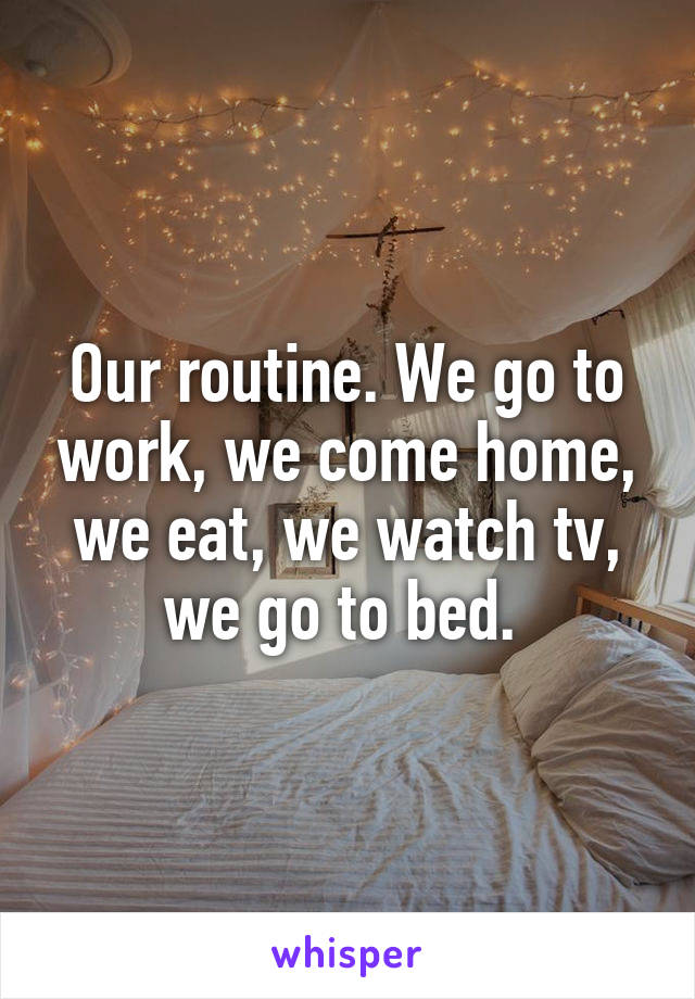 Our routine. We go to work, we come home, we eat, we watch tv, we go to bed. 