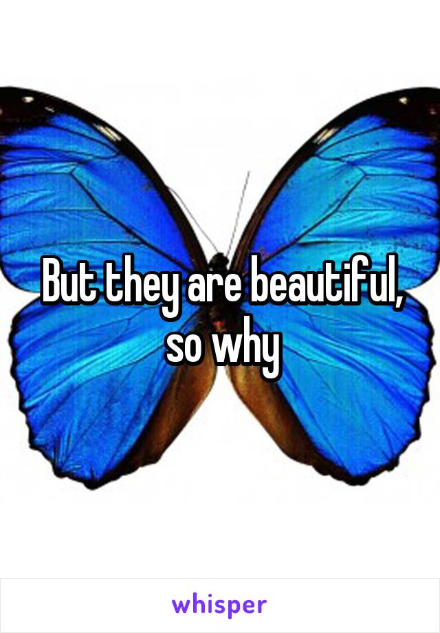 But they are beautiful, so why