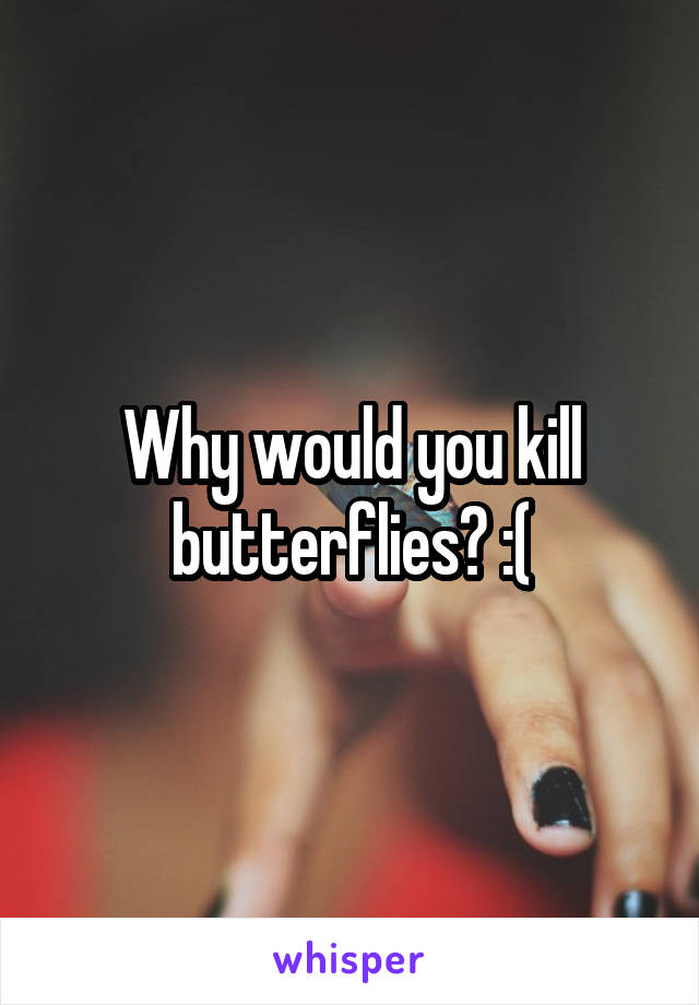 Why would you kill butterflies? :(