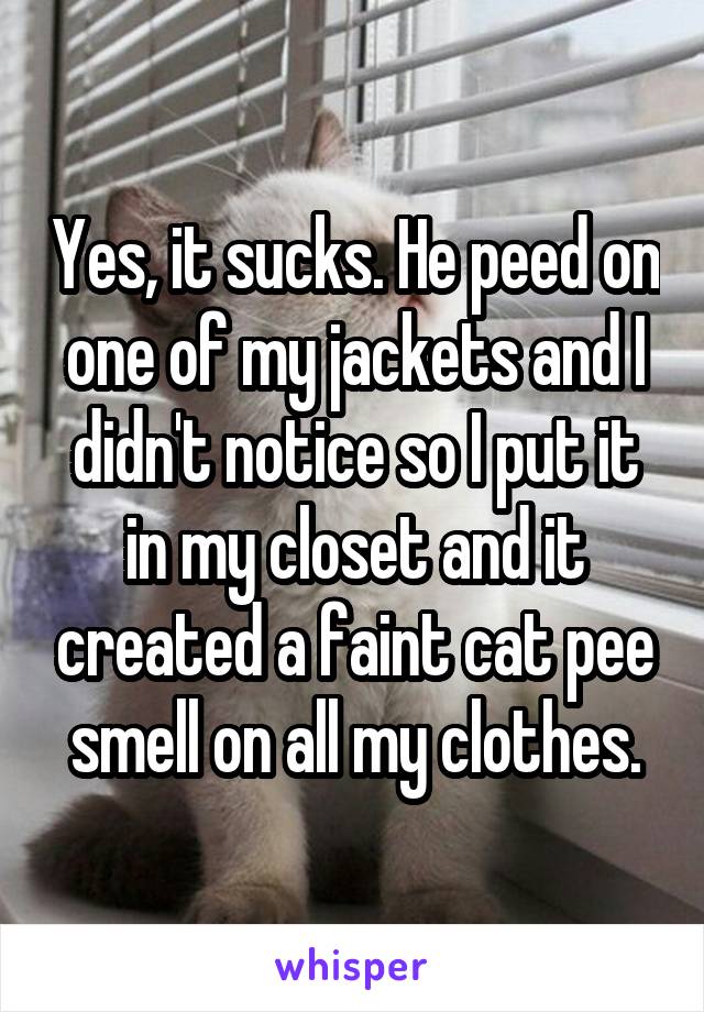 Yes, it sucks. He peed on one of my jackets and I didn't notice so I put it in my closet and it created a faint cat pee smell on all my clothes.