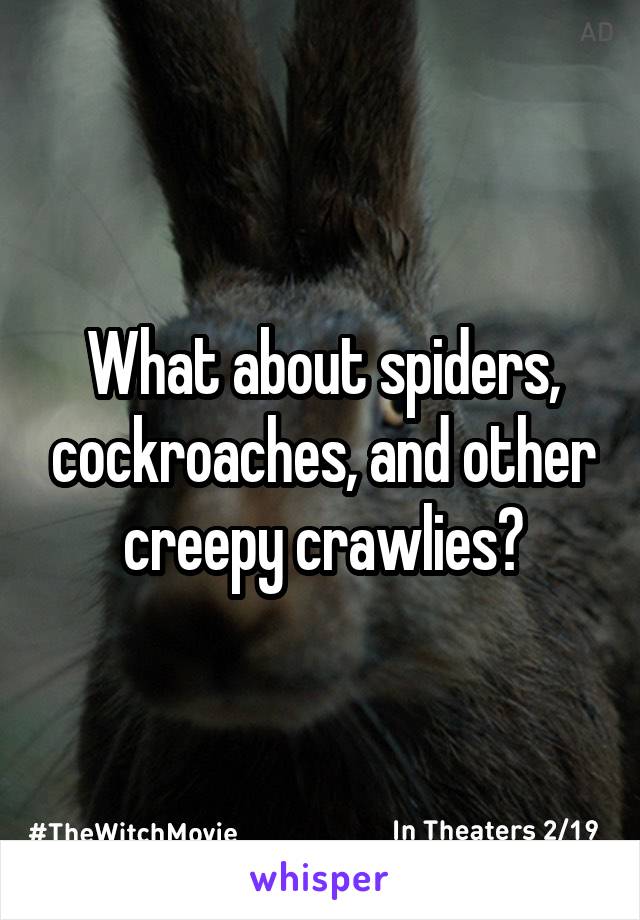 What about spiders, cockroaches, and other creepy crawlies?