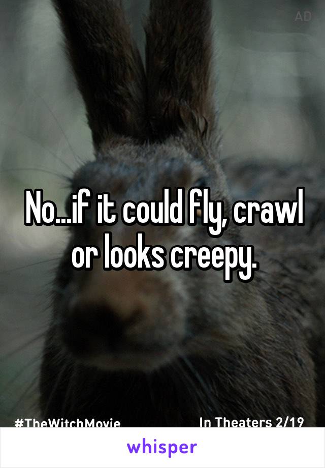 No...if it could fly, crawl or looks creepy.