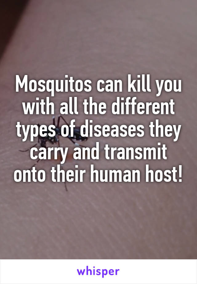 Mosquitos can kill you with all the different types of diseases they carry and transmit onto their human host! 