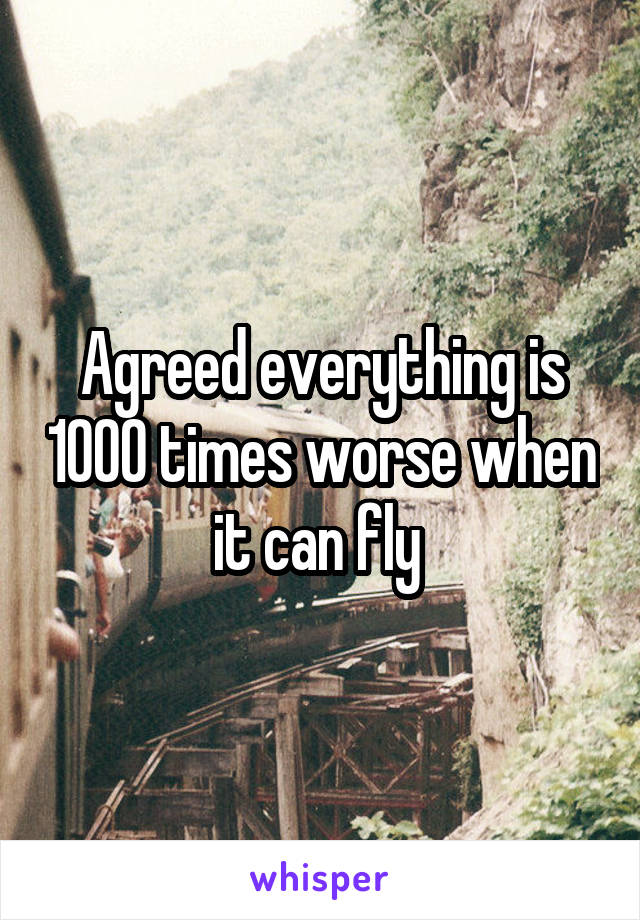 Agreed everything is 1000 times worse when it can fly 