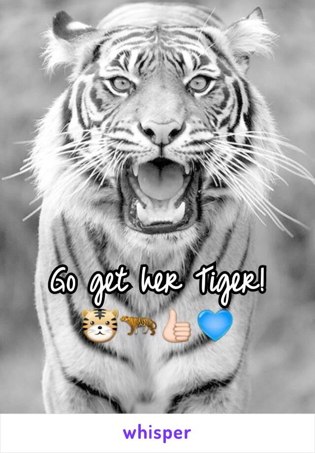Go get her Tiger! 🐯🐅👍💙