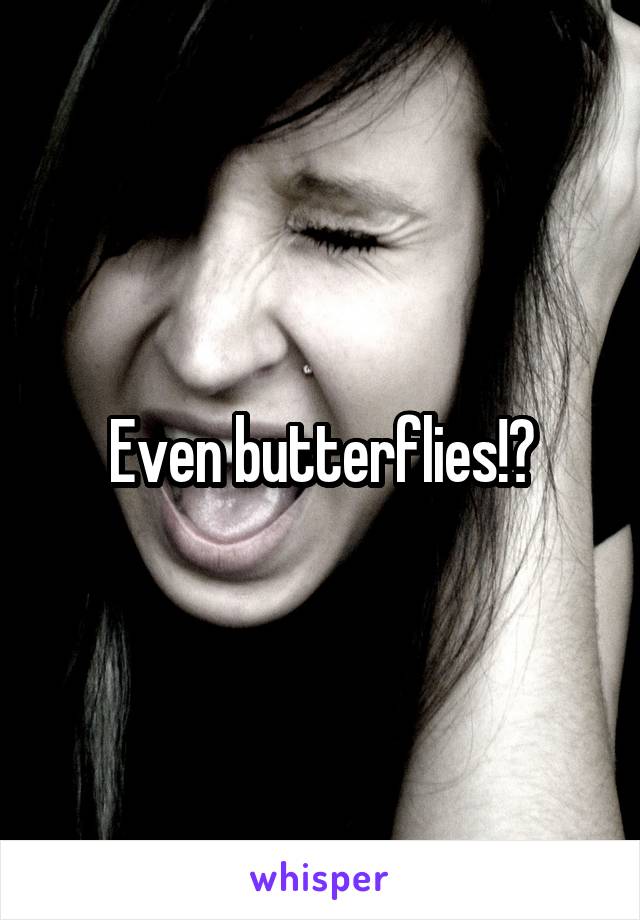 Even butterflies!?