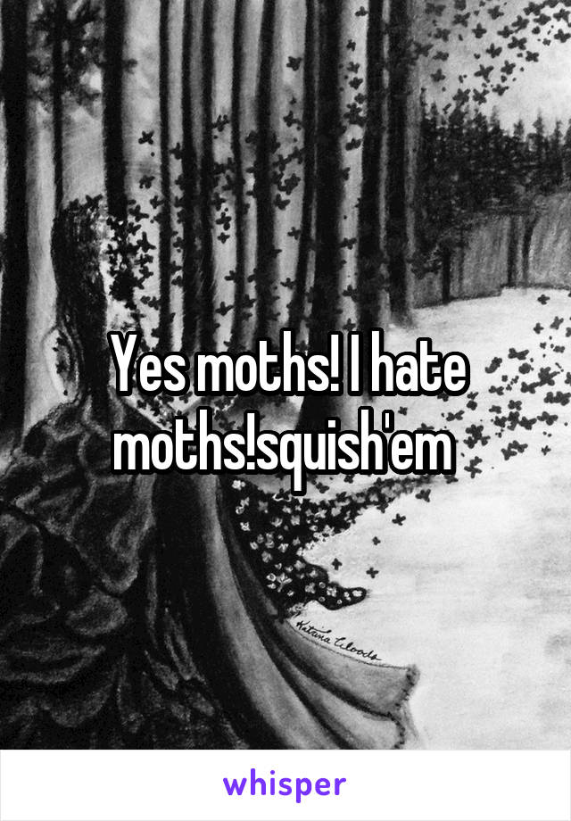 Yes moths! I hate moths!squish'em 