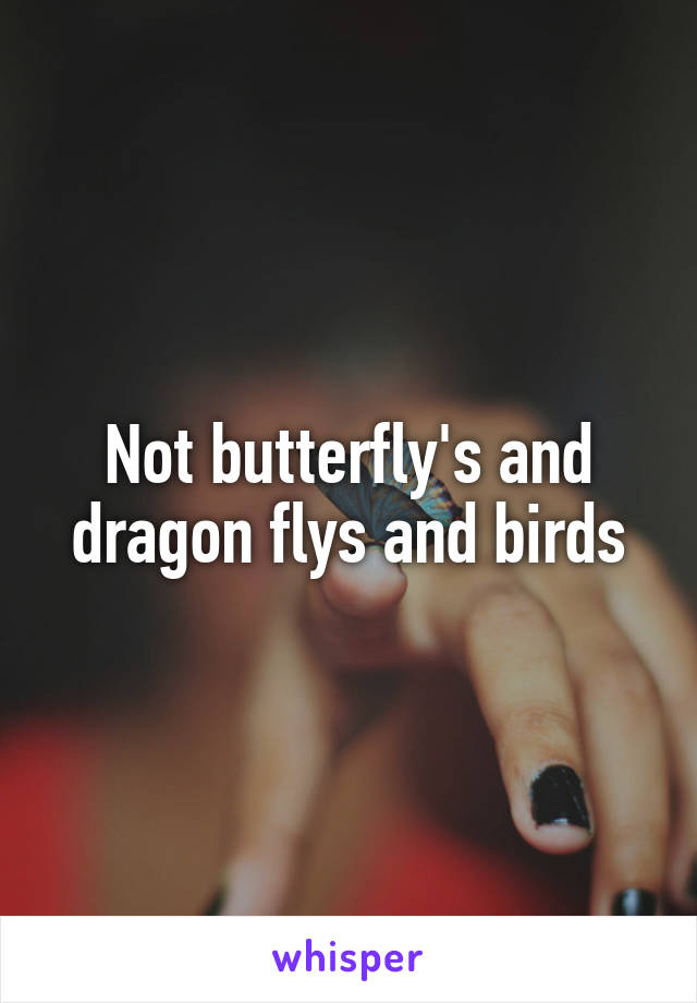 Not butterfly's and dragon flys and birds