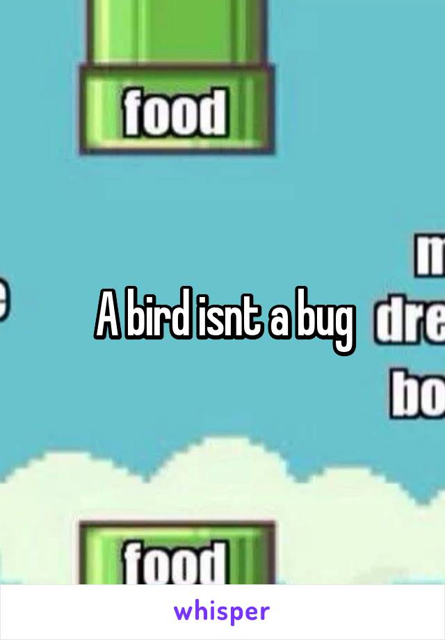 A bird isnt a bug