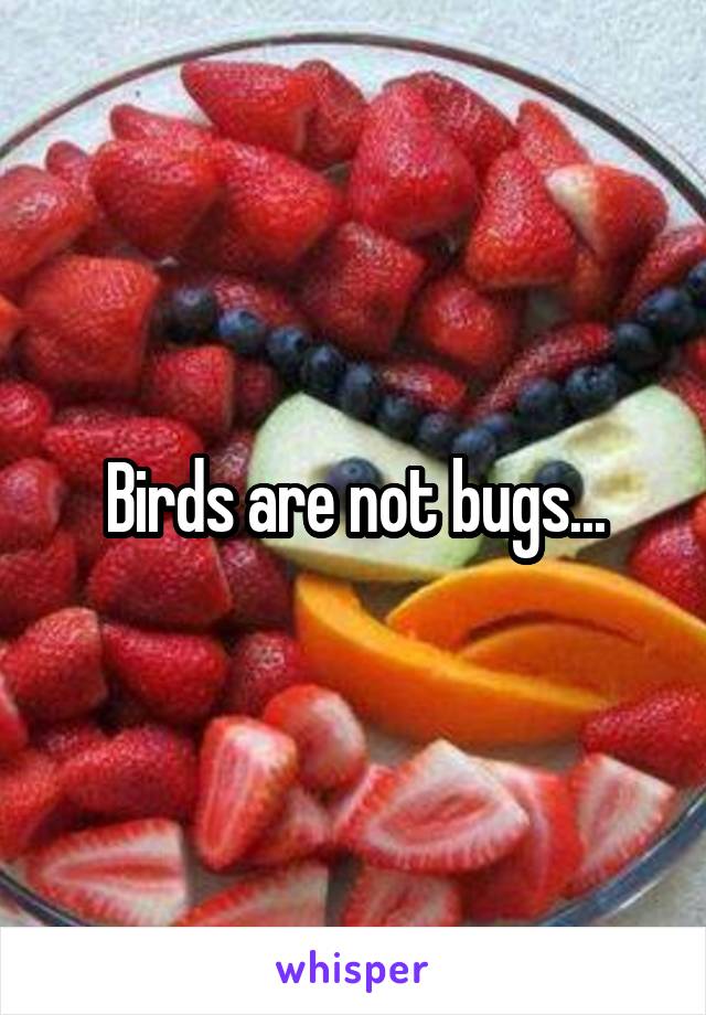 Birds are not bugs...