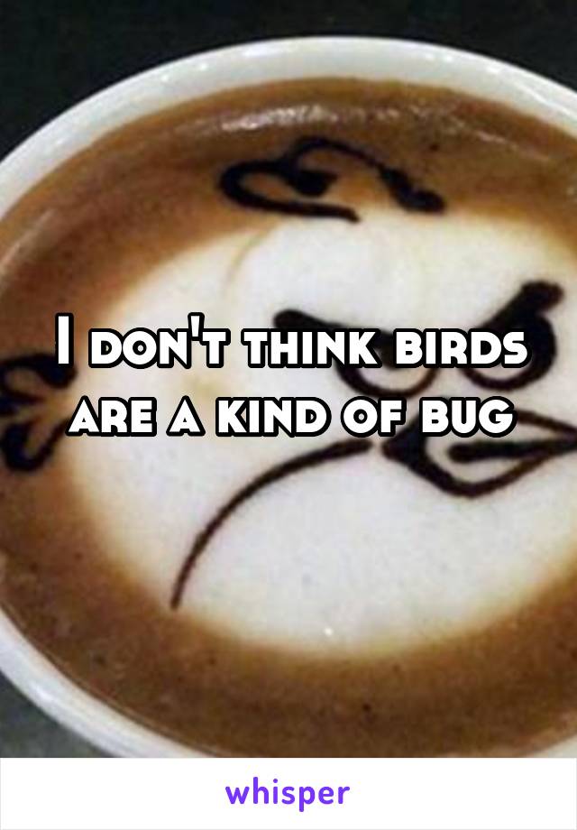 I don't think birds are a kind of bug
