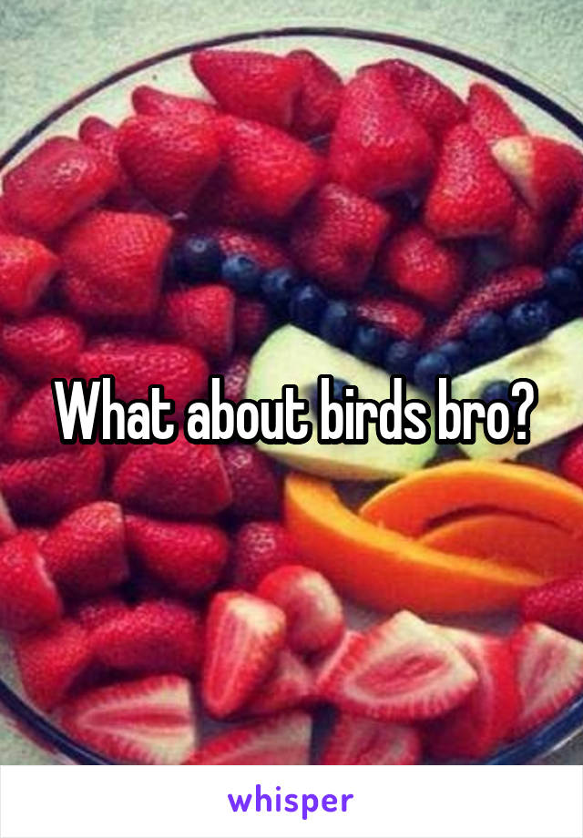 What about birds bro?