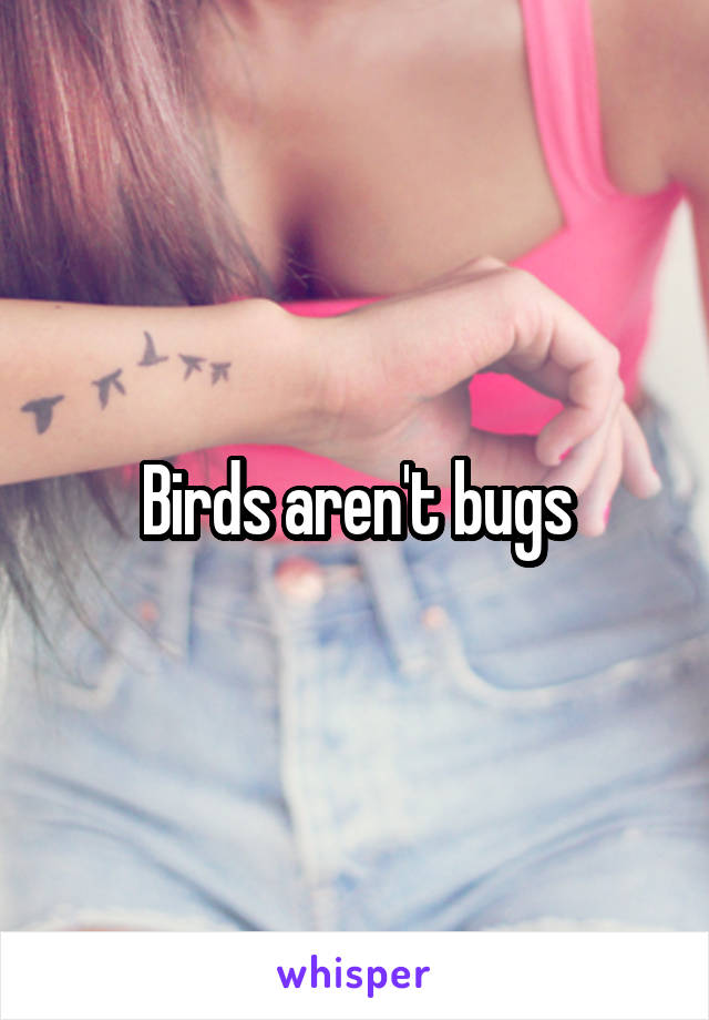 Birds aren't bugs