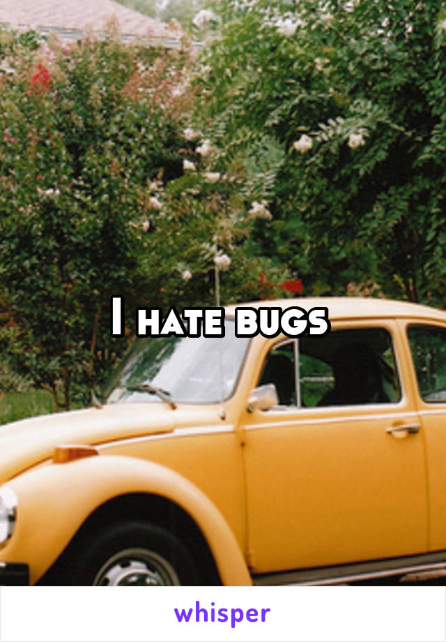 I hate bugs 