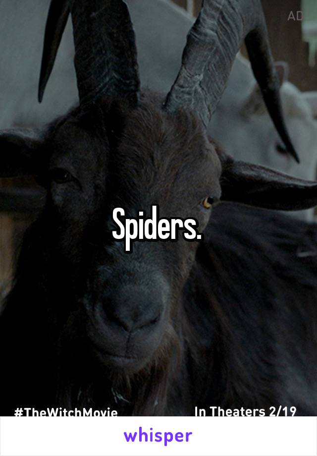 Spiders. 