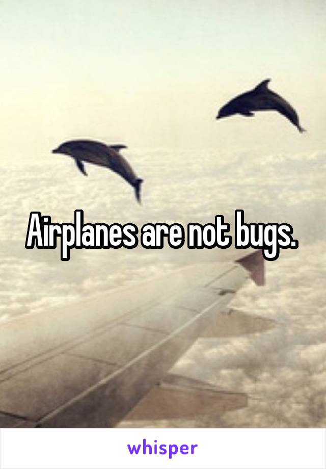 Airplanes are not bugs. 