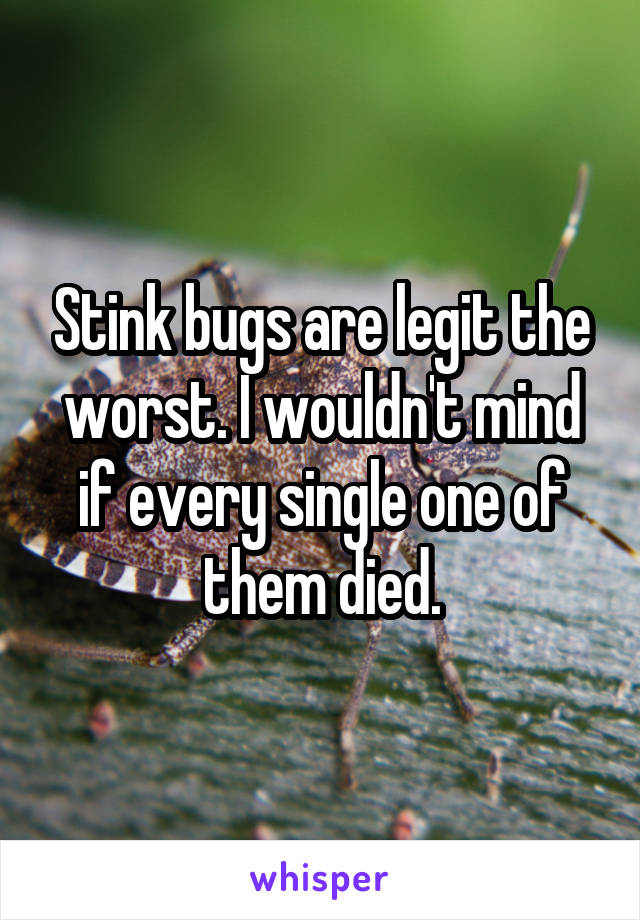 Stink bugs are legit the worst. I wouldn't mind if every single one of them died.