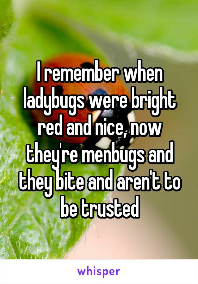 I remember when ladybugs were bright red and nice, now they're menbugs and they bite and aren't to be trusted