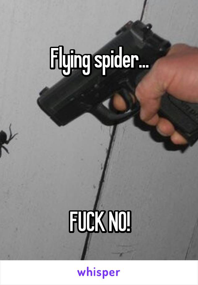 Flying spider...





FUCK NO!