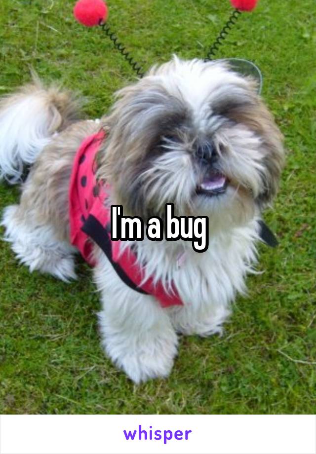 I'm a bug