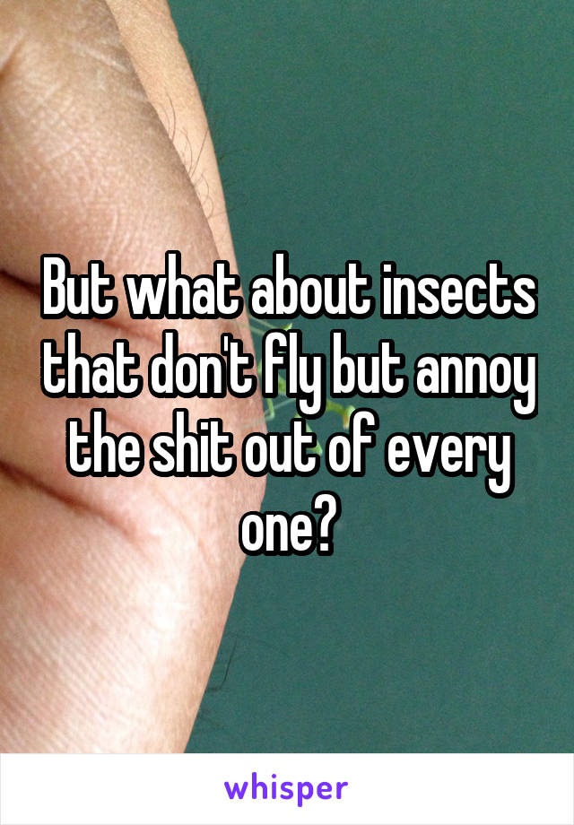 But what about insects that don't fly but annoy the shit out of every one?