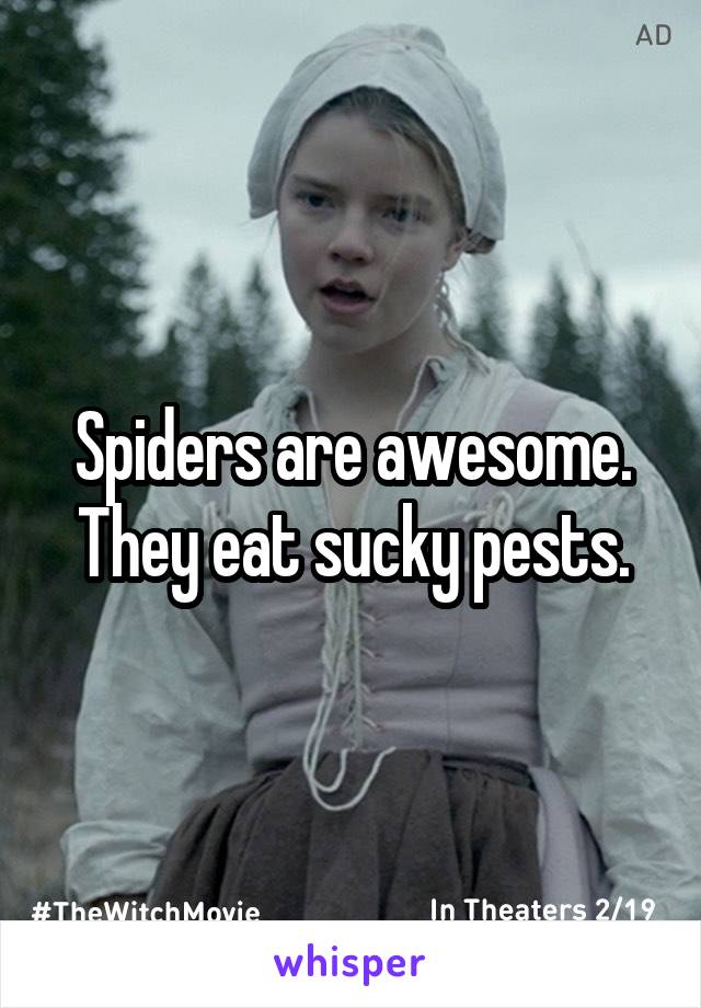 Spiders are awesome. They eat sucky pests.