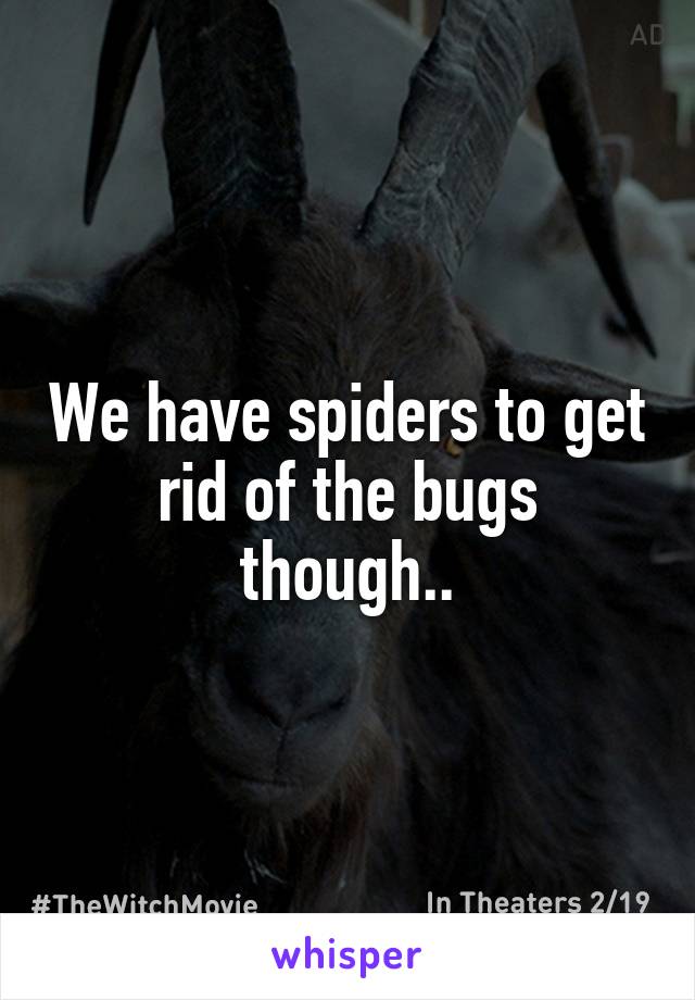 We have spiders to get rid of the bugs though..