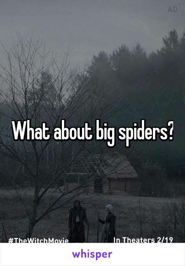 What about big spiders?