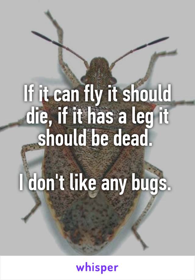 If it can fly it should die, if it has a leg it should be dead. 

I don't like any bugs. 