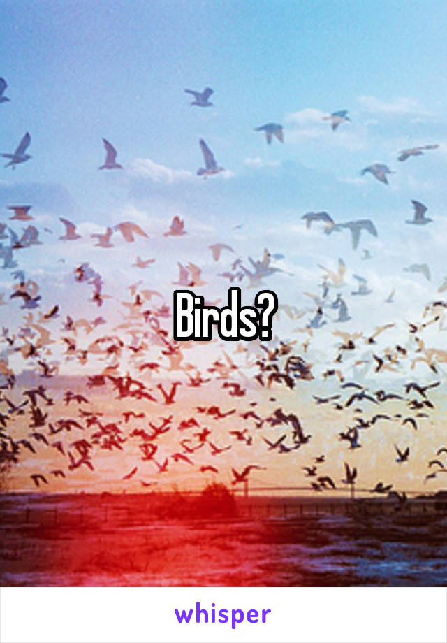 Birds?