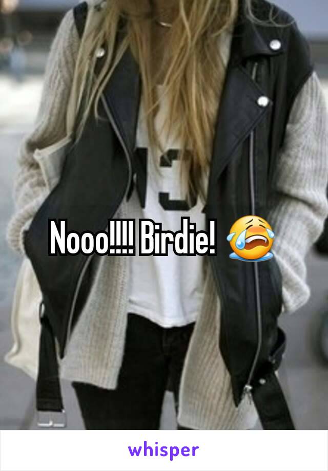 Nooo!!!! Birdie! 😭