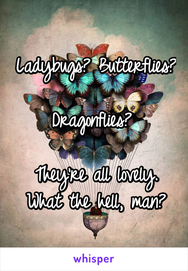 Ladybugs? Butterflies? 
Dragonflies? 

They're all lovely. What the hell, man?