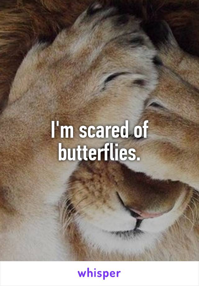 I'm scared of butterflies.