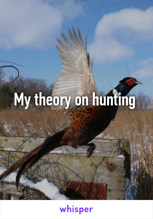 My theory on hunting 
