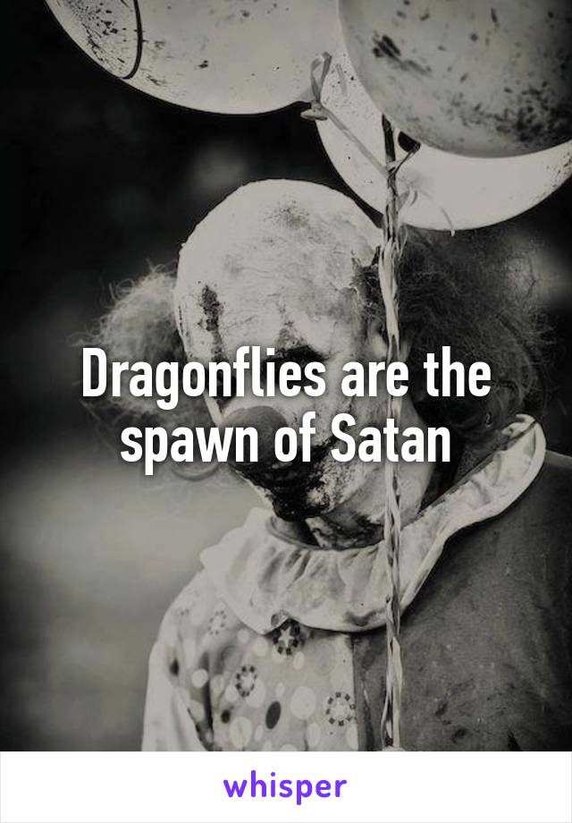 Dragonflies are the spawn of Satan